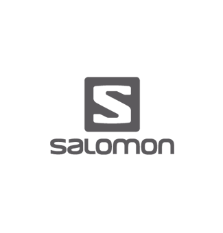 salomon-gris-vector